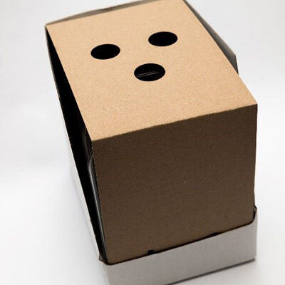 Display-box_klein Display-box_klein